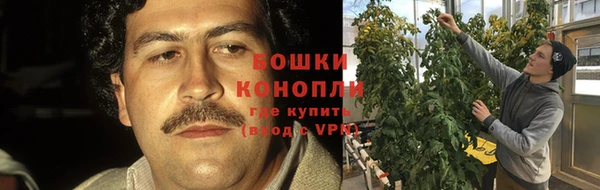 дурь Бронницы