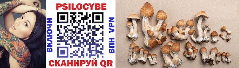Купить где  Электроугли  Галлюциногенные грибы GOLDEN TEACHER 